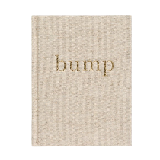 The Pregnancy Journal